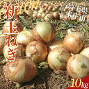 【ふるさと納税】 ≪2025年先行予約≫ 埼玉県本庄市産 小平ブランド 新玉ねぎ 10kg 2025年5月中旬から順次発送 野菜 やさい 玉葱 たまねぎ タマネギ オニオン 10キロ 甘い 食品 関東 F5K-471