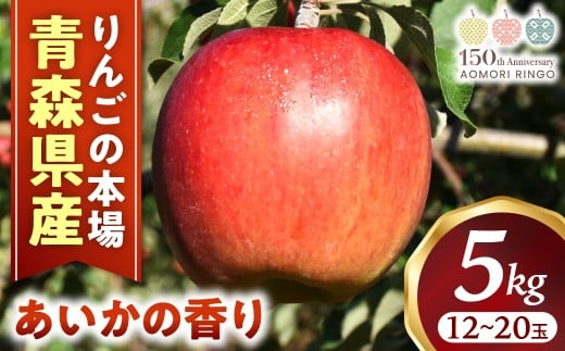 りんご【あいかの香り】約5kg（12～20玉）【2025年産・先行予約】★2025年11月上旬～12月下旬頃まで発送予定★ りんご 林檎 リンゴ 国産 あいかの香り 大玉 フルーツ 果物 贈答 土産 青森県 三戸町 R0329