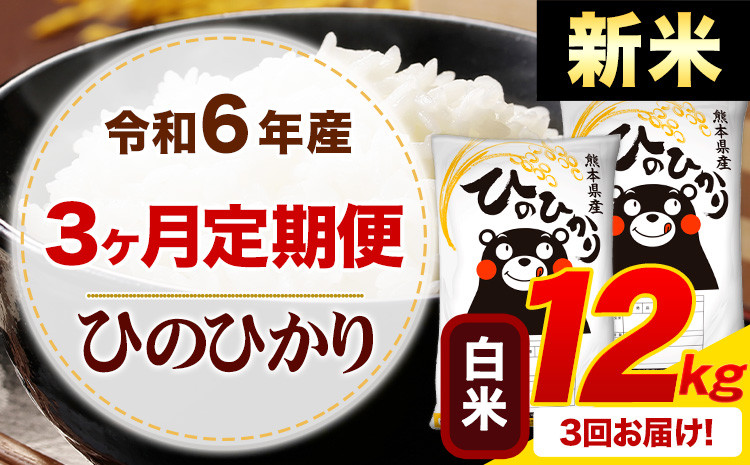 
            【3ヶ月定期便】令和6年産 新米 白米 早期先行予約受付中 ひのひかり 定期便 12kg《申込み翌月から発送》令和6年産 熊本県産 ふるさと納税 精米 ひの 米 こめ ふるさとのうぜい ヒノヒカリ コメ お米
          