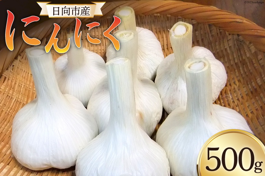 【期間限定発送】 にんにく 国産 500g [甲斐自然派農園 宮崎県 日向市 452060132] ふるさと納税 ニンニク 栽培期間中 無農薬 農薬不使用 化学肥料不使用 日向市産