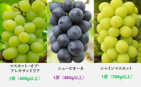 ぶどう 定期便 2027年 先行予約 晴れの国 岡山 の ぶどう定期便 3回コース