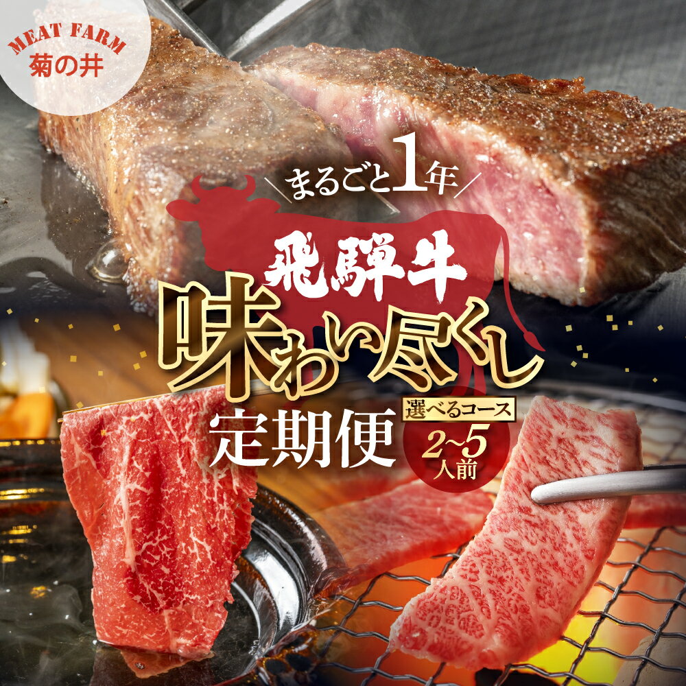 【ふるさと納税】飛騨牛 まるごと1年味わい尽くし定期便（2～3人前、3～5人前）飛騨牛 牛肉 肉 ステーキ 焼肉 すき焼き 切り落し イチボ ランプ もも モモ ロース ヒレ ヒレステーキ 希少部位 盛り合わせ 下呂温泉 飛騨 牛 定期便 岐阜県 下呂市
