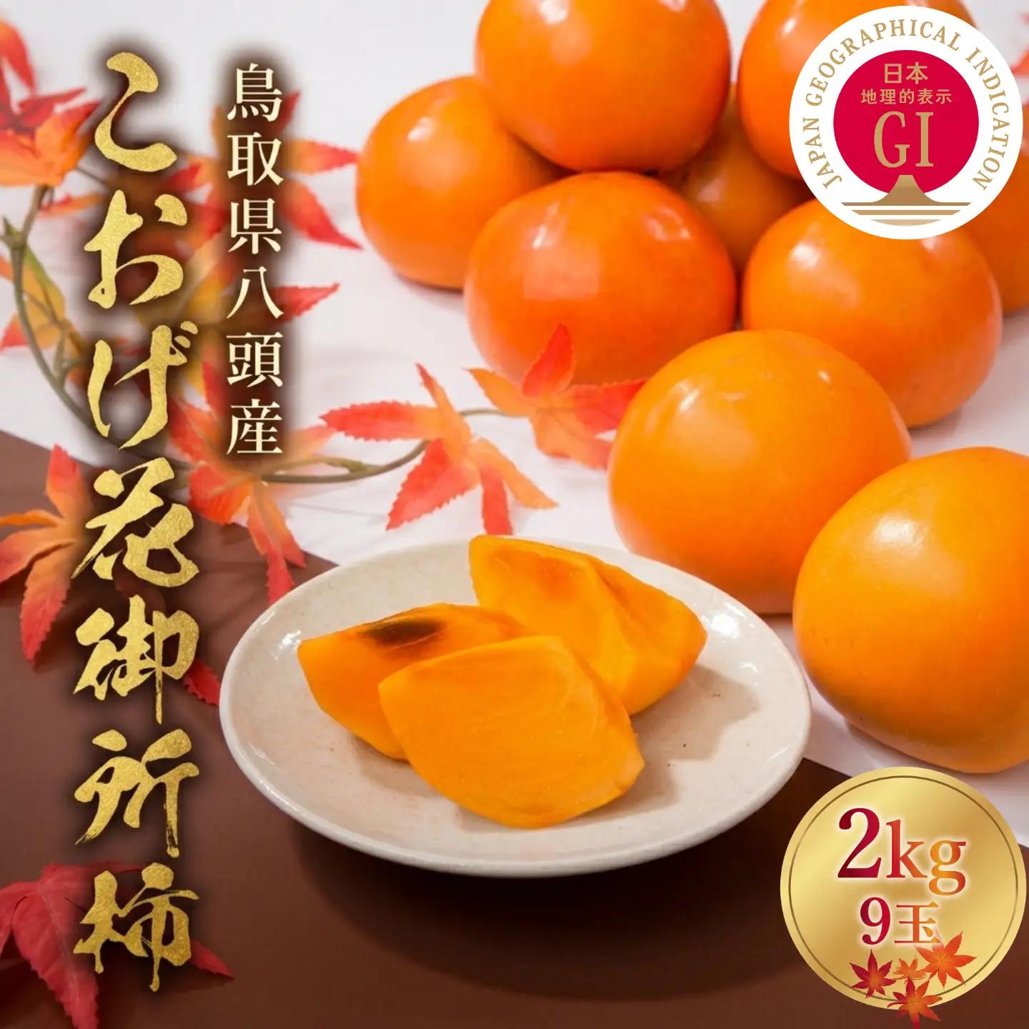 Y088 こおげ花御所柿 2kg