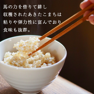 【 2026年 2月中旬より発送】 岩手県産 馬耕米 あきたこまち 玄米 10kg ／【株式会社スタディア】 お米 米 こめ コメ ご飯 ライス おにぎり 弁当 単一原料米 10キロ １０kg 馬耕 