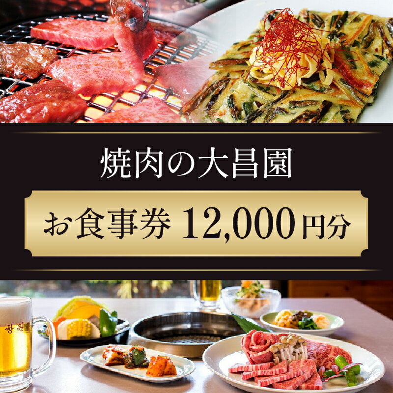 【ふるさと納税】お食事券 12枚 12000円分 焼肉の大昌園 焼き肉 焼肉 レストラン 韓国料理 チケット 食事券 割引券 クーポン券 クーポン 商品券 黒毛和牛 和牛 福岡 福岡県 小郡市