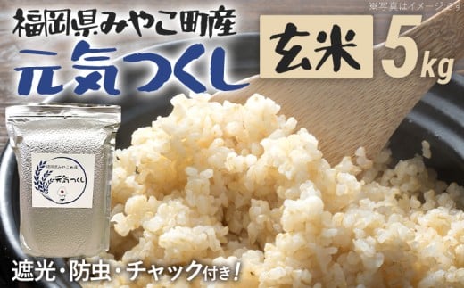 福岡県 みやこ町産 元気つくし （玄米） 5kg 【期間限定】 米 チャック付き チャック 防虫 ごはん おにぎり おやつ 福岡県 福岡 九州 グルメ お取り寄せ