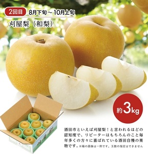 SE0336　【3回定期便】庄内の口福フルーツマルッとお届け便2025 (アンデスメロン、刈屋梨、庄内柿)