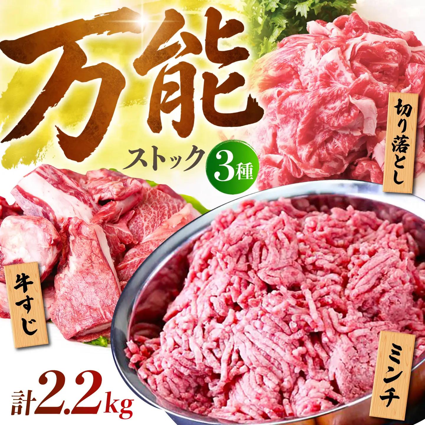 佐賀牛 A5 万能ストック3種セットB（切り落とし 1kg・ミンチ 600g・牛すじ 600g） HAD124 切り落とし