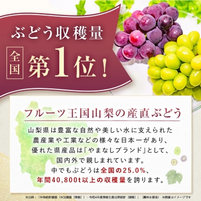 大人気!シャインマスカット秀 1.2kg(2～3房)【配送不可地域：離島】