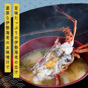 伊勢海老 800g 以上 1尾から4尾 活き伊勢海老 イセエビ えび 高知県 須崎市 伊勢海老 刺身伊勢 海老蒸し 伊勢海老 海鮮丼 伊勢えび おさしみ 伊勢えび カルパッチョ 伊勢えび 粉チーズ 伊