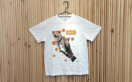 HACHI100オリジナルTシャツイラストver  M（HACHI100オリジナルコットン巾着サービス)　35P7602【一般社団法人 秋田犬ツーリズム】
