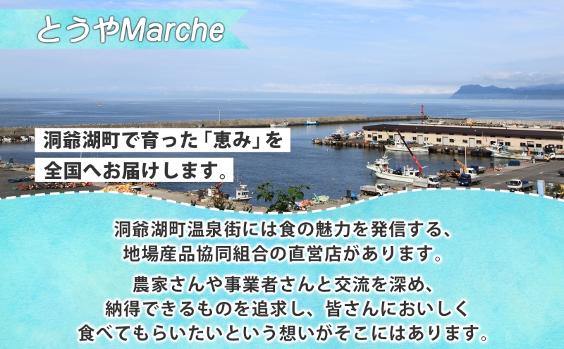北海道産 活ほたて 2年貝 約 4kg 30枚～45枚 2026年1月中旬～2月上旬頃お届け 殻付き 貝付き 帆立 ホタテ ほたて 貝 魚介 海産 海鮮 貝柱 噴火湾 刺身 焼き フライ 生産者支援 