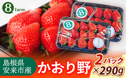 【先行予約】 かおり野 2パック 【 選べる品種 約290g×2パック かおりの イチゴ いちご 苺 ストロベリー 冷蔵 安来市産】【10-FA-10】 かおり野 2パック