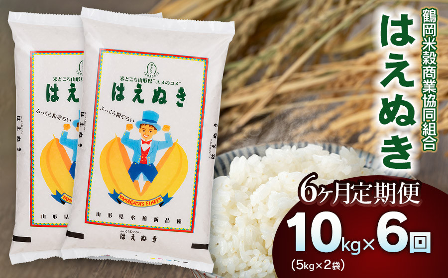 
            【令和6年産】はえぬき10kg（5kg×2）【6回定期便】 山形県庄内産　鶴岡米穀商業組合
          