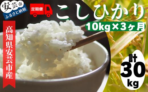 93-05 《令和6年産》定期便 3ヶ月 計30kg 10kg×3回 安芸の豊かな自然の恵みを頂いて育ったお米「こしひかり」