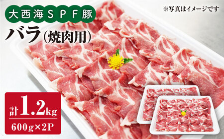 SPF 豚バラ 焼肉 計1.2kg 訳あり ＜大西海ファーム＞ [CEK031] 焼肉 豚バラ