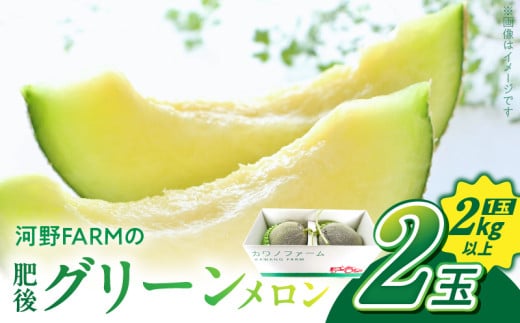 143-3　河野FARM 肥後グリーンメロン2玉