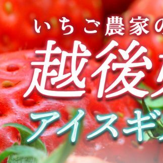 アイス 越後姫アイスギフト 12個 セット 越後姫 アイスクリーム ギフト 詰め合わせ 冷凍 新潟