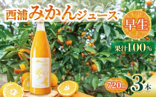 【先行予約_1月中旬発送】オレンジ ジュース ストレート 果汁 100％ 早生 みかん 720ml×3本 西浦 蜜柑 濃厚 飲み物 ミカン 人気 贈答用 静岡 沼津