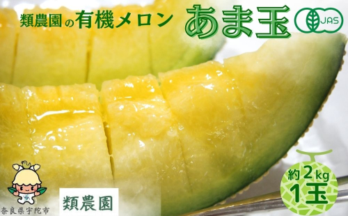 【予約:7月下旬〜8月上旬出荷】有機メロン「甘玉」1玉 ／メロン 有機 甘玉 贈答 ギフト お盆 お供え デザート おいしい 奈良県 宇陀市 類農園  ふるさと納税
