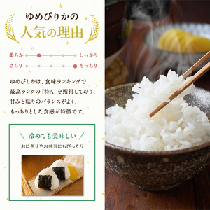 【2023年産米】【3ヶ月定期便】北海道赤平産ゆめぴりか10kg 精米したて直送