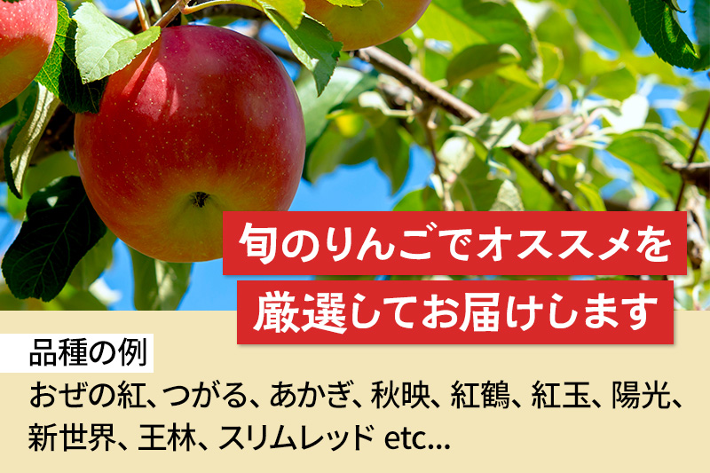 《10月上旬〜開始》定期便 品種おまかせ りんご詰め合わせ 1種5kg×3回 真田りんご園