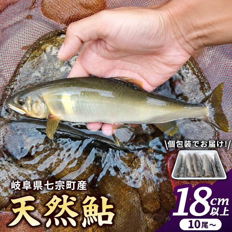 ※岐阜県産天然鮎七宗町産(18cm以上)