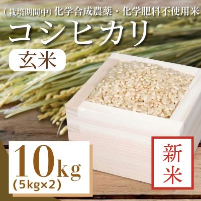 ふるさと納税 小松島市 【令和7年産新米先行受付】玄米 10kg コシヒカリ 新米 令和7年産 米 こめ ご飯 ごはん