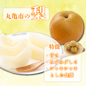 【2026年8月上旬より順次発送】【秀品】梨 約4kg なし 果物