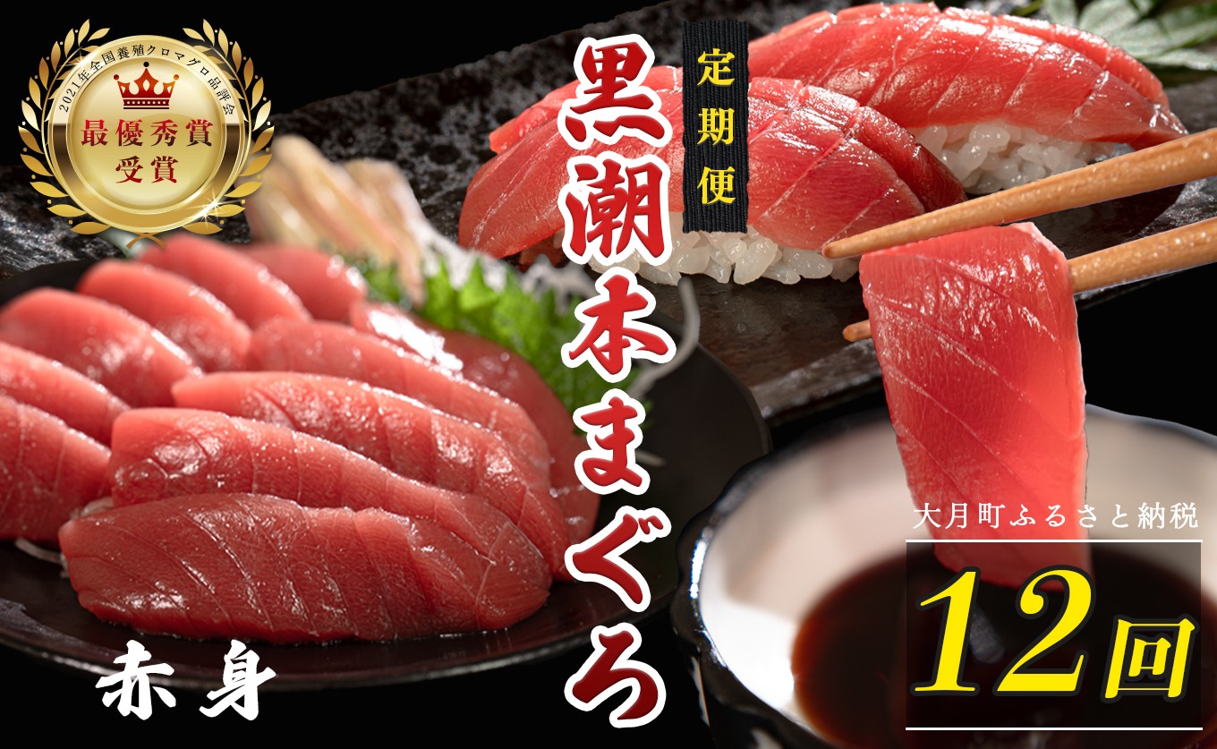 
                  訳あり 不定貫 定期便 12回 国産 養殖本マグロ 赤身 毎回120g×12回 黒潮本まぐろ 全国養殖クロマグロ品評会 最優秀賞受賞 12ヶ月 12か月 一年 柵 刺身用 本マグロ クロマグロ 本鮪 まぐろ 鮪 お刺身 さしみ 海鮮丼 漬け丼 手巻き寿司 鉄火丼 まぐろ丼 小分け 個包装 真空パック 冷凍 不揃い 家庭用 海鮮 年末年始 高知県 大月町 8万円
                
