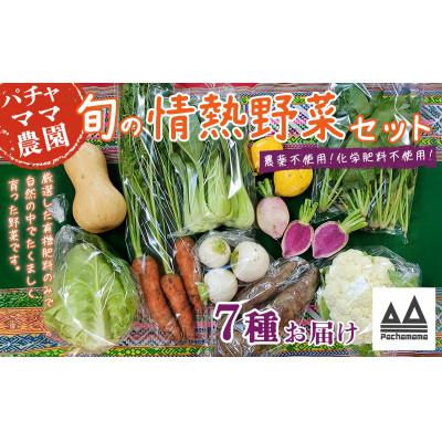 ふるさと納税 下妻市 農園自慢の情熱野菜セット(7品) |  | 01