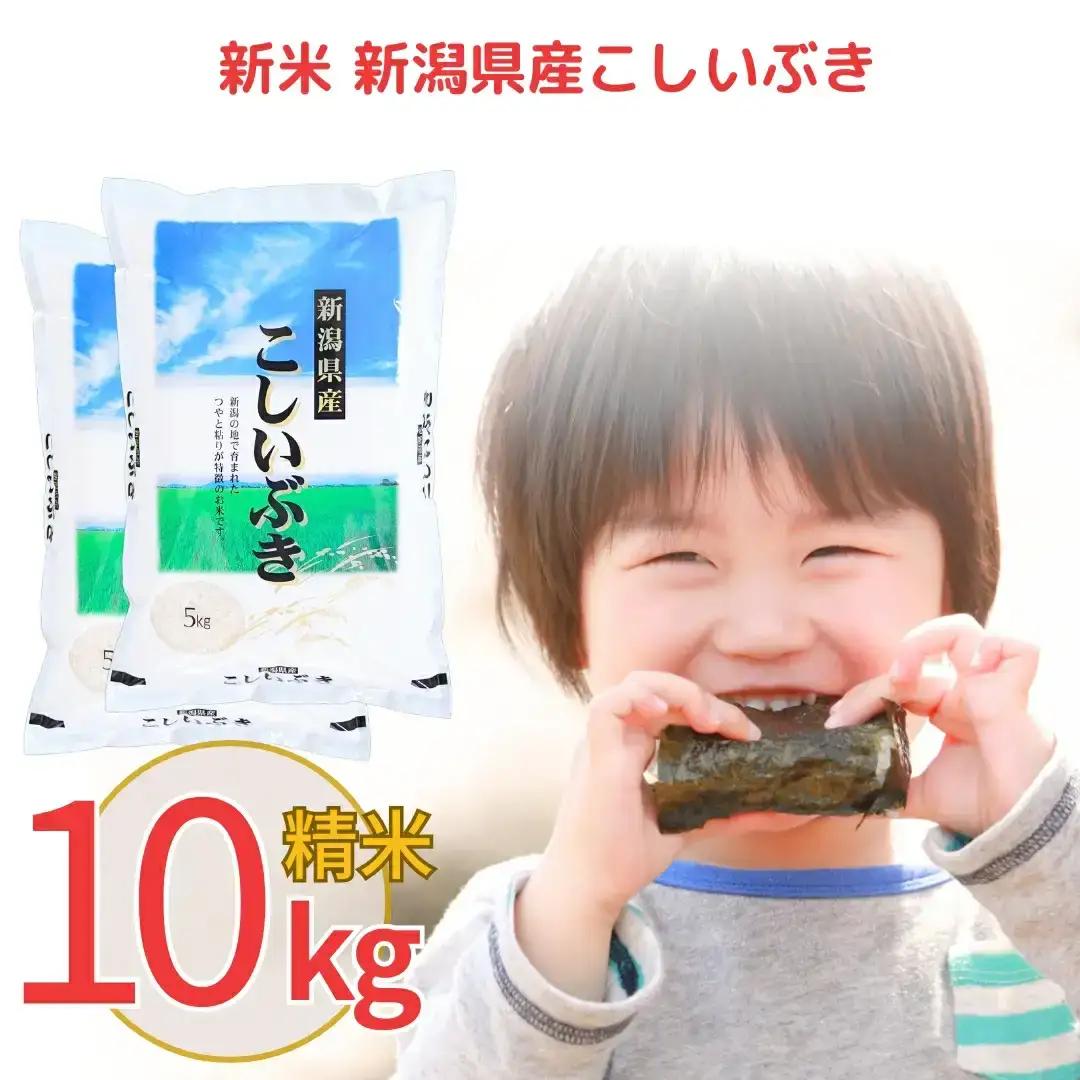 新潟県産 こしいぶき 10kg 令和7年産 精米 白熊