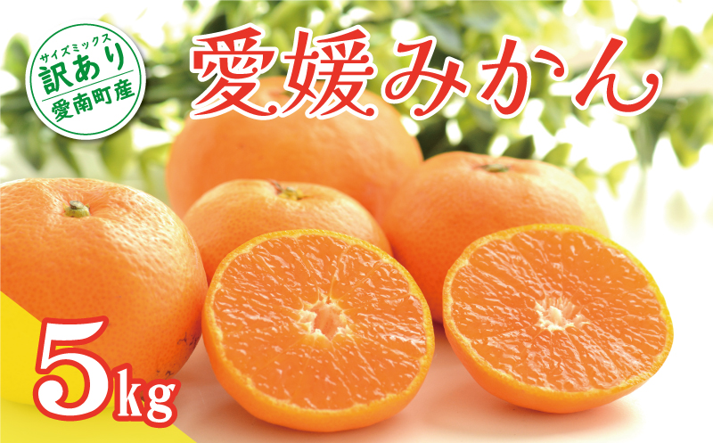 訳あり 愛媛みかん 5kg 7000円 温州みかん こたつ みかん 温州 みかん mikan 蜜柑 愛媛 ミカン 完熟 家庭用 産地直送 国産 農家直送 糖度 期間限定 数量限定 特産品 ゼリー ジュース アイス 人気 限定 甘い 果実 果肉 フルーツ 果物 柑橘 ビタミン 健康 美味しい おいしい ジューシー サイズ ミックス くらもとファーム 愛南町 愛媛県