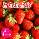 【ふるさと納税】 「朝採り新鮮いちご」 とちおとめ 2L いちご イチゴ 苺 4p 4パック 国産 果物 フルーツ くだもの 1月 2月 3月 発送 冬 旬 産地直送 農家直送 産直 甘い デザート スイーツ 家庭用 贈答 贈答用 茨城 茨城県 石岡市 送料無料 (G201)