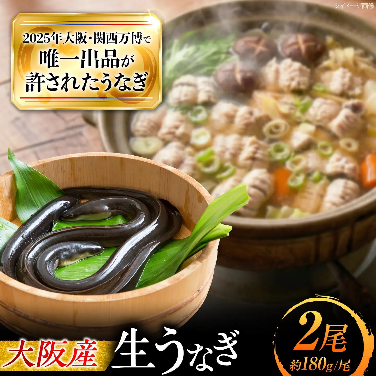 鰻 美陵鰻の生鰻 2尾 / 美陵鰻 鰻 うなぎ ウナギ 蒲焼 蒲焼き かば焼き 白焼き 白焼 肉厚 ひつまぶし うな重 うな丼 タレ 山椒 国産 スタミナ 土用 丑の日 土用の丑の日 贈答 ギフト / 大阪府藤井寺市/株式会社れいわ水産[BLAL063]