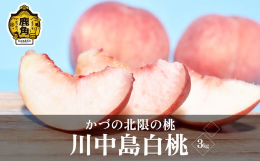 《先行予約》果汁たっぷり かづの北限の桃「川中島白桃」約3kg（9玉前後入り）●2025年9月上旬発送開始【佐藤秀果園】 もも モモ 桃 お盆 お見舞い 川中島白桃 完熟 国産桃 お中元 お歳暮 母の日 父の日 贈り物 贈答用 グルメ ギフト 故郷 秋田 あきた 鹿角市 鹿角 送料無料 