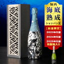 【ふるさと納税】選べる知内海底熟成ウイスキー 【2023年引き揚げ】【2024年引き揚げ】【2025年引き揚げ】知内海底熟成シャンパン E知内町 ふるさと納税 北海道ふるさと納税 北海道 ウイスキー 熟成ウイスキー 海底ウイスキー 洋酒 海底酒