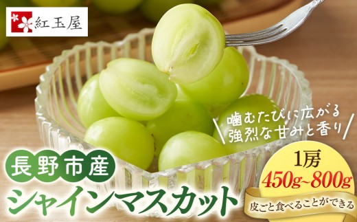 
                  ★ 紅玉屋 長野市産大粒シャインマスカット1房（約450g～800g）【2026年9月上旬頃より順次発送】 |  シャインマスカット ぶどう フルーツ 果物 国産 人気 おすすめ ギフト プレゼント 送料無料 長野県 長野市 信州 信濃 ふるさと納税
                