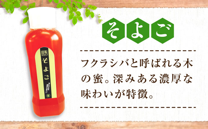 はちみつ セット ハチミツ 蜂蜜 国産 チューブタイプ