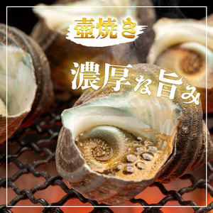 天然サザエ 1kg 【 サザエ 】