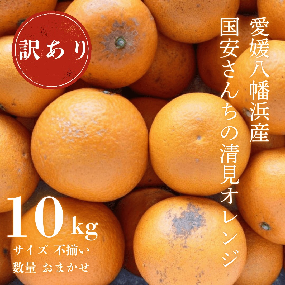 
                  【先行受付】＜まるで食べるジュース!越冬完熟品＞愛媛産 訳あり 清見オレンジ 10kg＜F20-34＞【1594861】 YWTI029
                