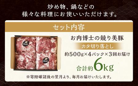 【全3回定期便】“極上・上”等級だけの上質な豚肉 「お肉博士の競り美豚」カタ 計2kg ( 500g×4) 競美豚 競り美豚 豚肉 お肉 炒め物 鍋 国産 長崎