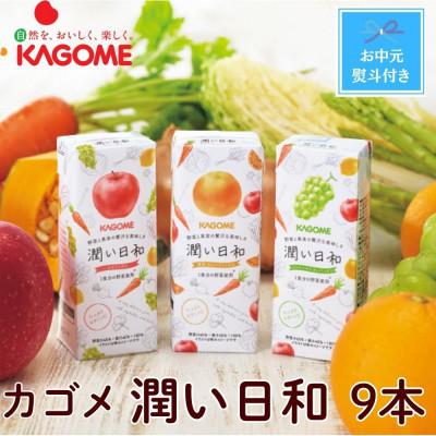 ふるさと納税 北杜市 【お中元】カゴメ　潤い日和(3種)計9本