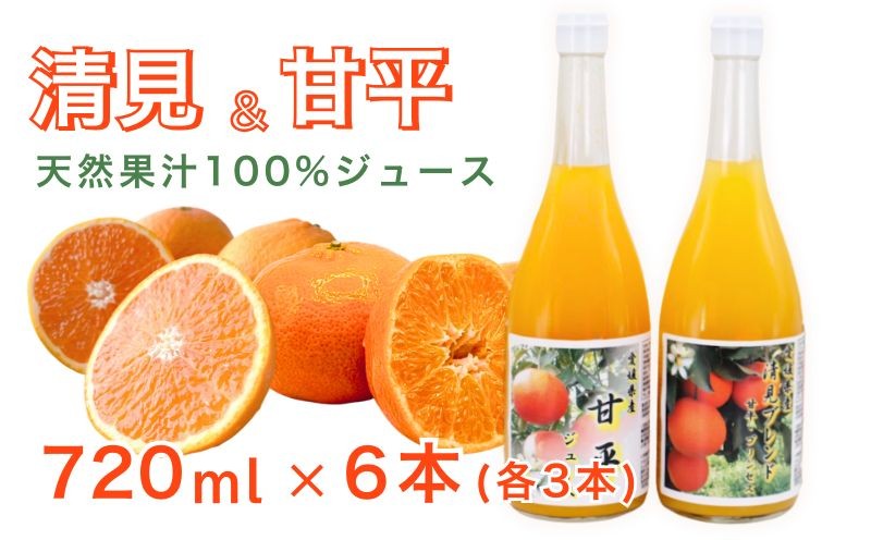 
                  清見ブレンドジュース 甘平ジュース ストレート 各720ml × 3本 6本セット 中山農園 みかん 蜜柑 清見 プリンセス 甘平 ジュース ストレートジュース ミックスジュース オレンジジュース 100％ フルーツ ストレート  柑橘 果汁 無添加 農家直送 産地直送 数量限定 国産 愛媛 愛南 なくなり次第終了
                
