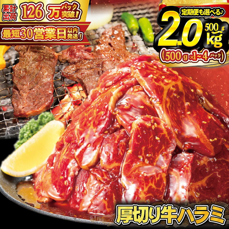 【ふるさと納税】＼ 厚切り牛ハラミ 500g・1kg・2kg・2kg【3ヶ月定期便】／ ≪スピード発送 10営業日以内発送≫ 選べる 500g 1kg 2kg 定期便 ハラミ 焼肉 人気 BBQ バーベキュー 味付け ジューシー 花巻市 配送月指定可能