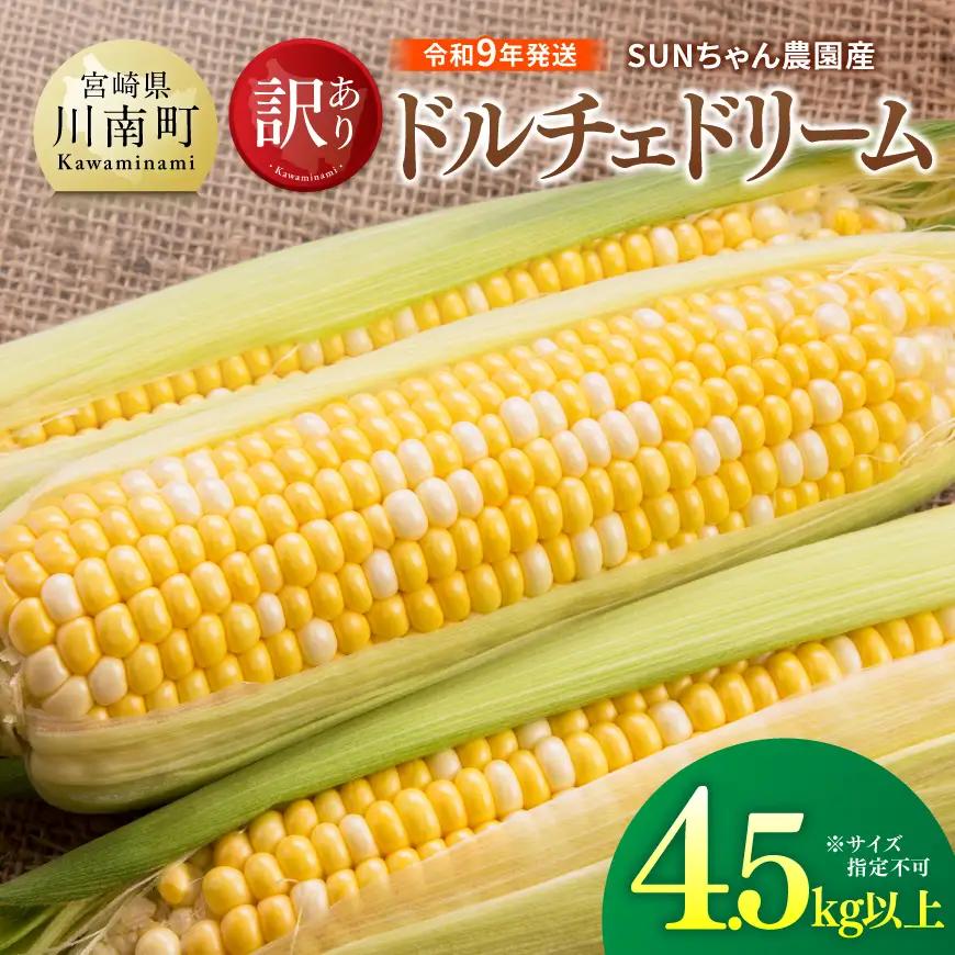 【令和9年発送】SUNちゃん農園産「【訳あり】ドルチェドリーム4.5kg以上（サイズ指定不可）」 【 とうもろこし ドルチェドリーム トウモロコシ 令和9年発送 数量限定 期間限定 】
