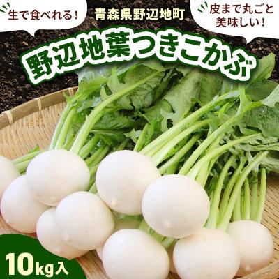 ふるさと納税 野辺地町 生で食べられる!皮まで丸ごと美味しい!野辺地葉つきこかぶ(10kg入)