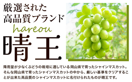 シャインマスカット 晴王 岡山県産 定期便 2ヶ月 9月・10月発送 [2025年先行予約]《9月中旬-10月末頃出荷(土日祝除く)》1房 750g ハレノスイーツ 岡山中央卸売市場店 岡山県 浅口市