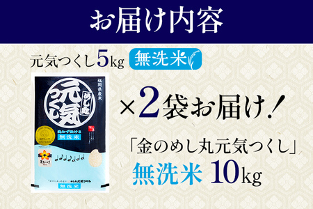 【無洗米】令和8年産 金のめし丸 元気つくし 精米 10kg（5kg×2） 米 無洗米 元気つくし 森光商店 老舗 福岡 お米 ごはん ご飯 お弁当 おにぎり 金のめし丸県産米 福岡ブランド米 めし丸