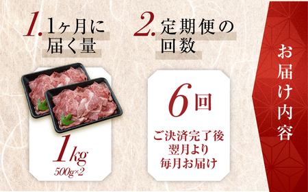 トキノ屋食品 A5等級 飛騨牛切り落とし 1kg 6回お届け定期便[mt413]